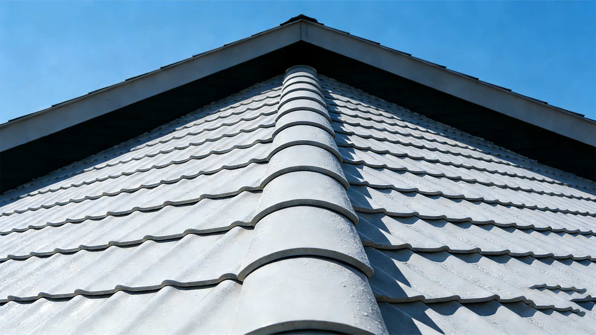 012364f6 a6cb 4d9a 9954 51f9db158749